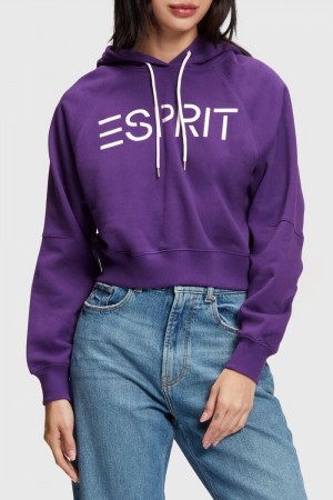 Dámské Mikina s Kapucí Esprit Cropped Logo Fialové | JSR289630