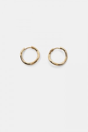 Dámské Šperky Esprit 18k Gold-plated Wave Hoop Earrings Zlaté | FRS423716