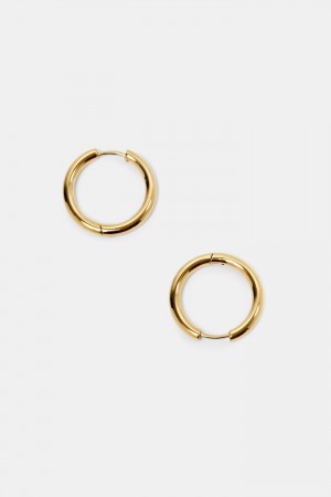 Dámské Šperky Esprit Small Hoop Earrings,Stainless Steel Zlaté | FTD420158