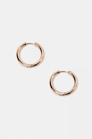 Dámské Šperky Esprit Small Hoop Earrings,Stainless Steel Růžové Zlaté | IBX507638