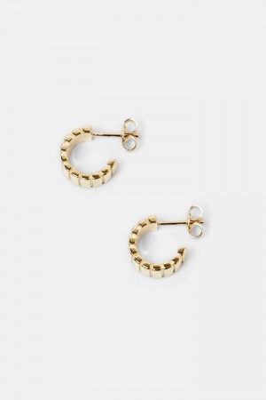 Dámské Šperky Esprit Small Hoop Earrings,Sterling Silver Zlaté | PZK469278