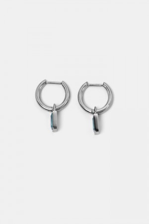 Dámské Šperky Esprit Small Hoop Earrings With Pendant,Stainless Steel Stříbrné | FMR758029