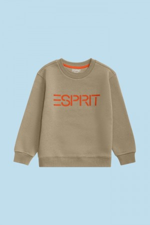 Dětské Mikiny Esprit Logo Crewneck Béžový | PNM750218