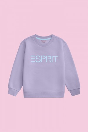 Dětské Mikiny Esprit Logo Crewneck Levandule | KLI462580