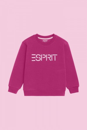 Dětské Mikiny Esprit Logo Crewneck Růžové Fuchsie | YWK643150