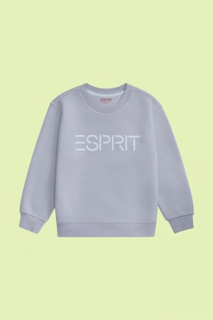 Dětské Mikiny Esprit Logo Crewneck Světle Blankyt Levandule | REJ475182