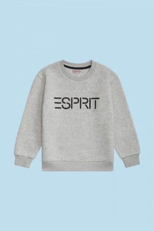 Dětské Mikiny Esprit Logo Crewneck Světle Šedé | TNO041579