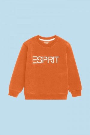 Dětské Mikiny Esprit Logo Crewneck Červené Oranžové | MEA684237