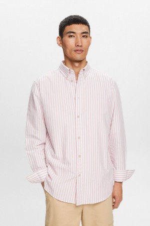 Pánské Košile Esprit Oxford Stripe Button-down Růžové | BAH287410