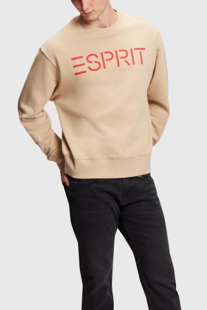 Pánské Mikiny Esprit Logo Hnědé | JCS549380