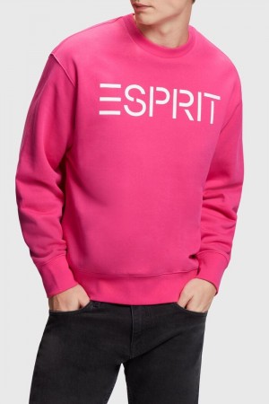 Pánské Mikiny Esprit Logo Růžové Fuchsie | NSX374061