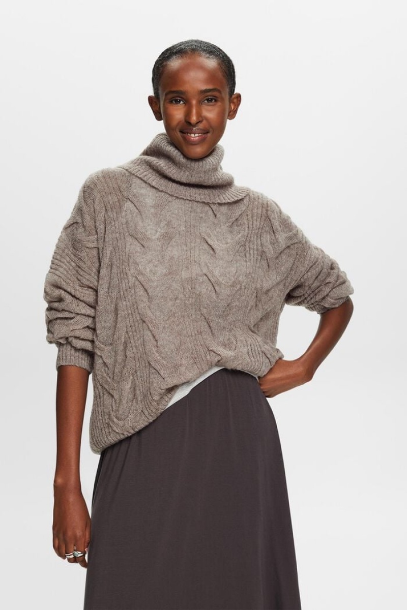 Dámské Jumpers Esprit Cable-knit Turtleneck Hnědé Šedé | BPJ931402