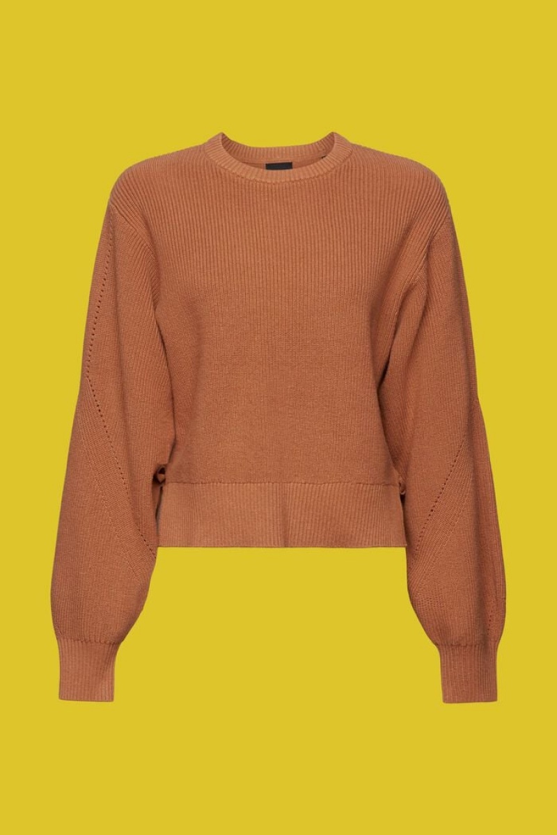 Dámské Jumpers Esprit Cashmere Blended With Krajkové Detail Hnědožlutý | GYW287491