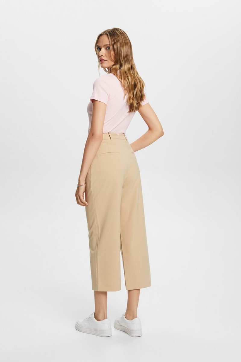 Dámské Kalhoty Esprit High-rise Culottes With Pasem Pleats Hnědé | JXT218379