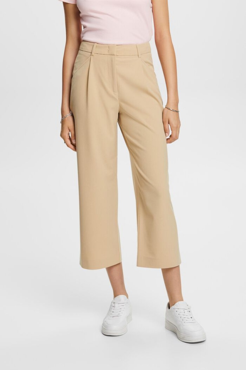 Dámské Kalhoty Esprit High-rise Culottes With Pasem Pleats Hnědé | JXT218379