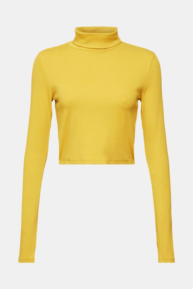 Dámské Topy Esprit Cropped,Roll Neck Long-sleeved Žluté | TQM129405