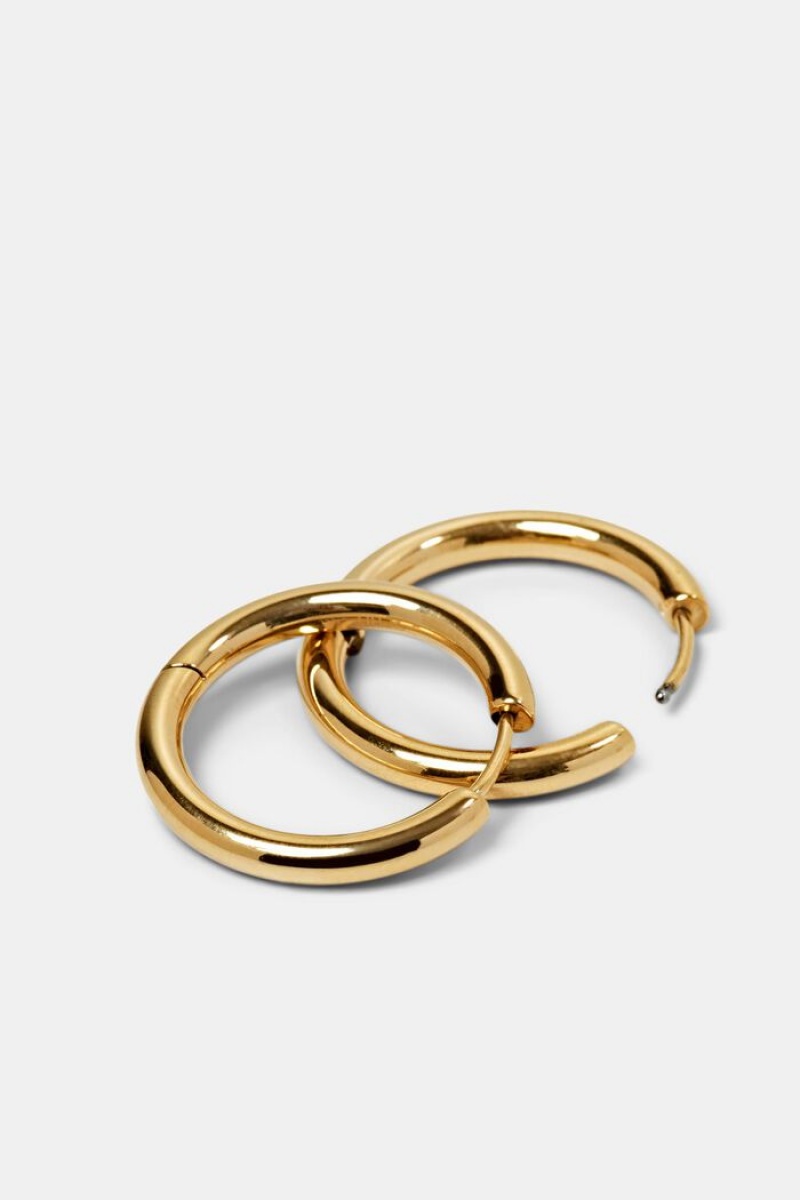 Dámské Šperky Esprit Small Hoop Earrings,Stainless Steel Zlaté | FTD420158