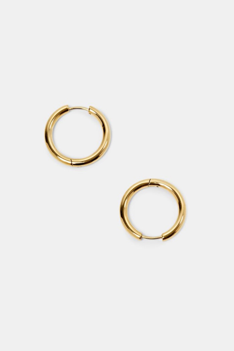 Dámské Šperky Esprit Small Hoop Earrings,Stainless Steel Zlaté | FTD420158