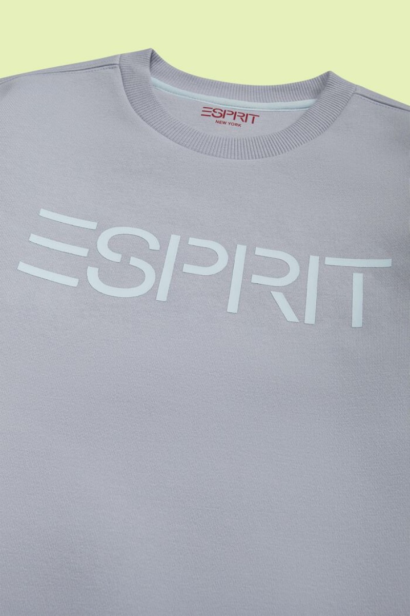 Dětské Mikiny Esprit Logo Crewneck Světle Blankyt Levandule | LZG451083