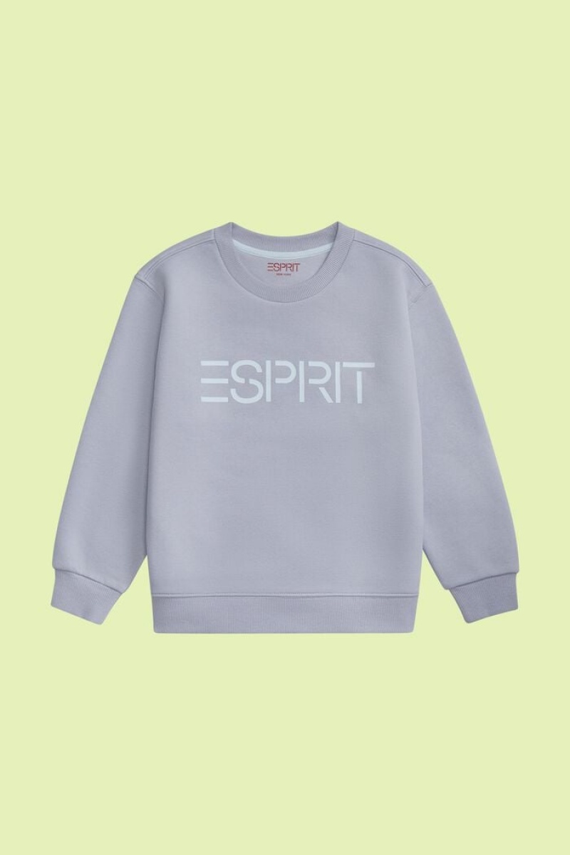 Dětské Mikiny Esprit Logo Crewneck Světle Blankyt Levandule | LZG451083