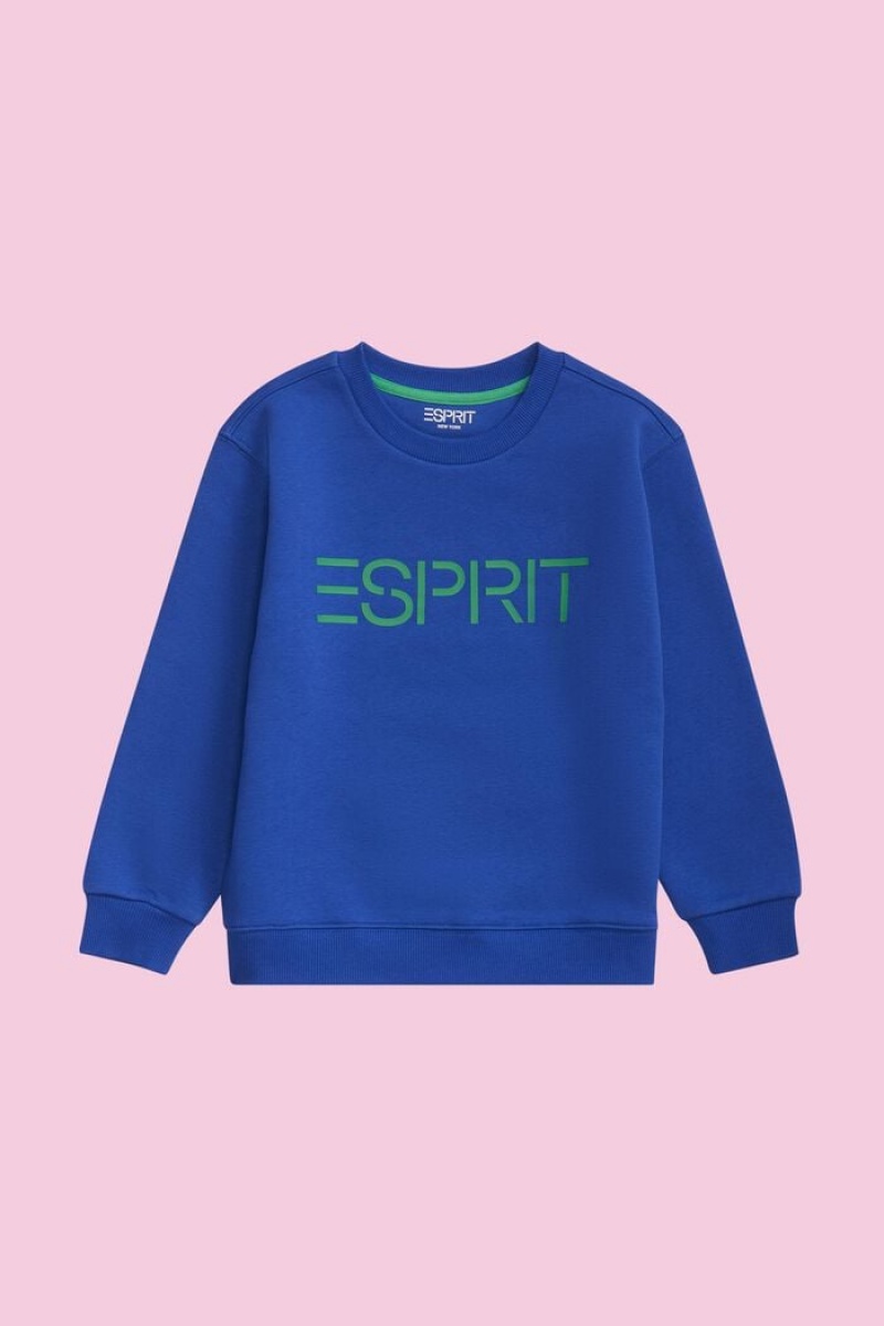 Dětské Mikiny Esprit Logo Crewneck Světle Blankyt | NZJ420731