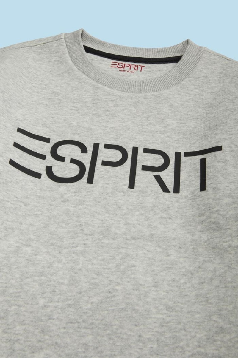 Dětské Mikiny Esprit Logo Crewneck Světle Šedé | ZFX650498