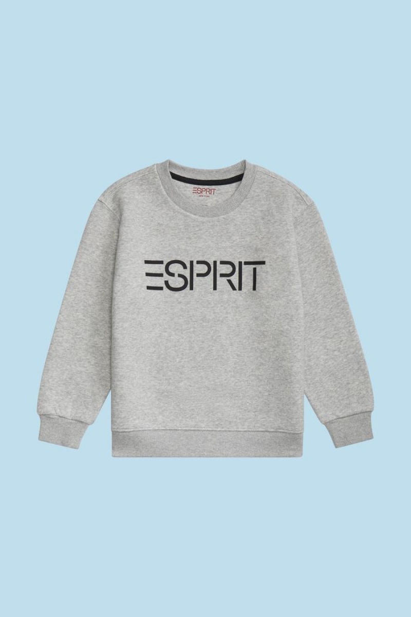 Dětské Mikiny Esprit Logo Crewneck Světle Šedé | ZFX650498