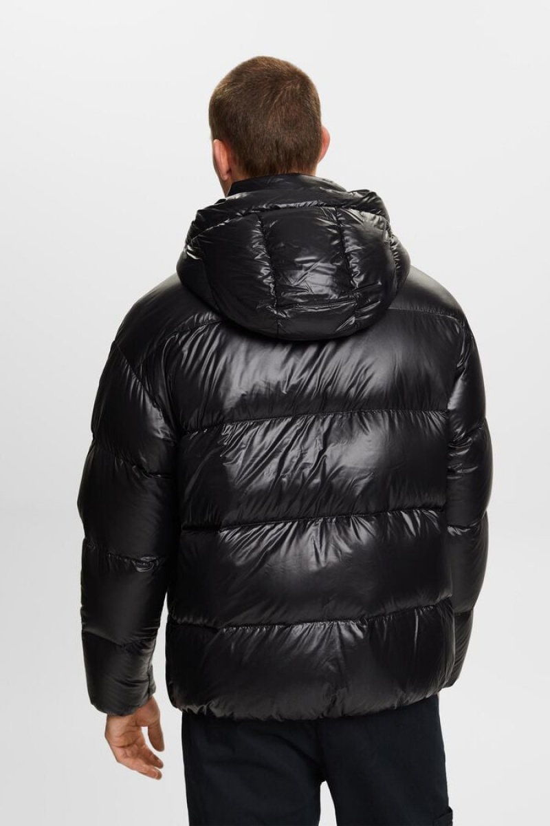 Pánské Bundy Esprit Down Glossy Puffer Černé | AWM724601