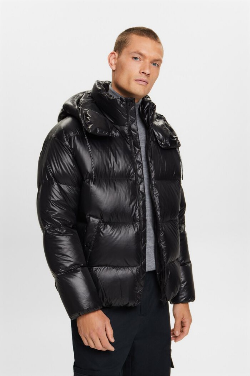 Pánské Bundy Esprit Down Glossy Puffer Černé | AWM724601