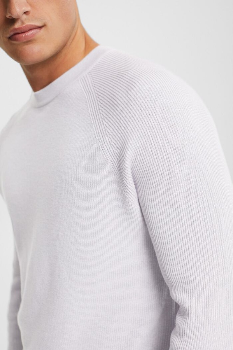 Pánské Jumpers Esprit Crewneck,100% Bavlněné Levandule | JKN526974