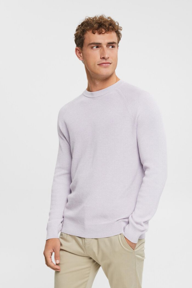 Pánské Jumpers Esprit Crewneck,100% Bavlněné Levandule | JKN526974