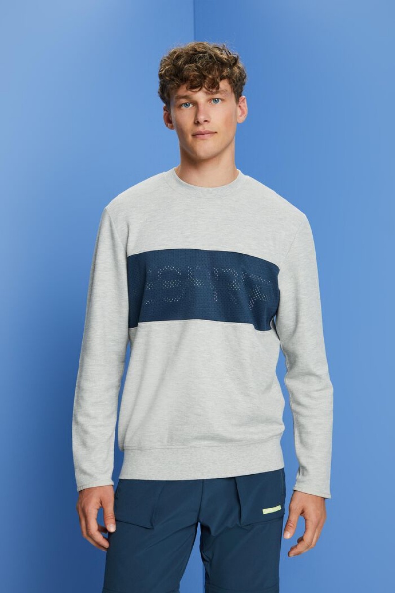 Pánské Mikiny Esprit Fleece Mesh Logo Světle Šedé | TZP675249