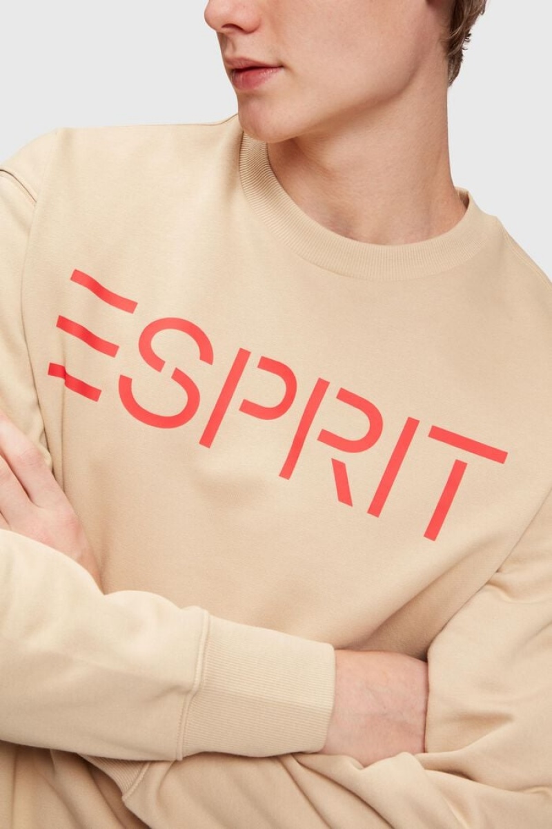 Pánské Mikiny Esprit Logo Hnědé | JCS549380